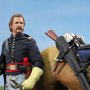 Civil War Brown War Horse Standing