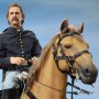 Civil War Brown War Horse Standing