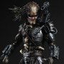 Predator Classic