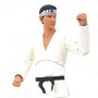 Cobra Kai Box Set (Previews SDCC 2021)