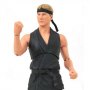 Cobra Kai Box Set (Previews SDCC 2021)