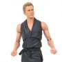 Cobra Kai Box Set (Previews SDCC 2021)