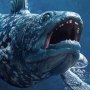 Coelacanth Wonders Of Wild Series