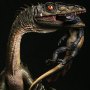 Coelophysis Green