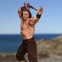 Conan The Barbarian: Conan (Pop Culture Shock)