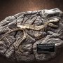 Concavenator Fossil Wonders Of Wild Series