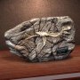 Concavenator Fossil Wonders Of Wild Series