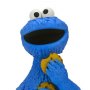 Cookie Monster Head Knocker