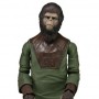 Planet Of Apes: Cornelius