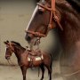 James Dean: Cowboy Horse