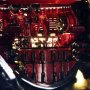 Crimson Typhoon