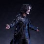 Crow Epic Series