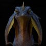 Crown Lizard (Agaminae)