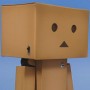 Danboard (realita)