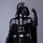 Darth Vader (Empire Strikes Back 40th Anni)