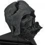 Darth Vader Pyre Helmet