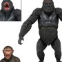 Dawn Of Planet Of Apes: Dawn Of Planet Of Apes Series 2