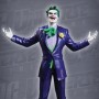 DC Universe Online: Joker