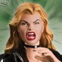 Black Canary (studio)