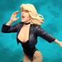 Heroines Of DC: Black Canary