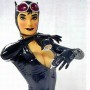 Catwoman 1 (realita)