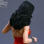 Donna Troy (studio)