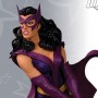 Heroines Of DC: Huntress