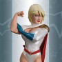 Heroines Of DC: Power Girl
