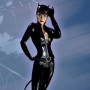 Cover Girls Of DC: Catwoman (Adam Hughes)