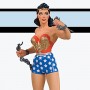 DC Chronicles: Wonder Woman