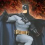 Batman: Batman Museum 1