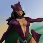 Catwoman Vs. Batgirl (studio)