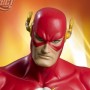 Flash Vs. Gorilla Grodd Mini