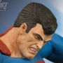 Superman Vs. Darkseid (studio)