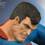 Superman Vs. Darkseid (studio)