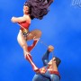 Wonder Woman Vs. Superman (studio)