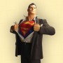 Superman: Superman Forever (Alex Ross)