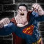 Ultimate Showdown - Superman Vs. Bizarro (studio)