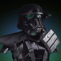 Death Trooper Specialist (PGM)