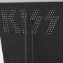 Debut Album 3D Vinyl