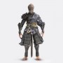 The Destined One In The Bronze Armor