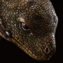Dewback Egg Attack