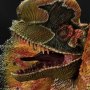 Dilophosaurus