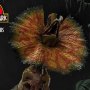 Dilophosaurus