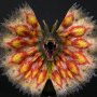 Dilophosaurus Yellow With Neck-Frill