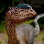 Dilophosaurus (Sideshow) (studio)