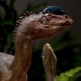 Dilophosaurus (studio)