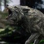Prehistoric Creatures: Dire Wolf Wonders Of Wild Series
