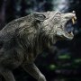 Dire Wolf Wonders Of Wild Series