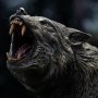Dire Wolf Wonders Of Wild Series